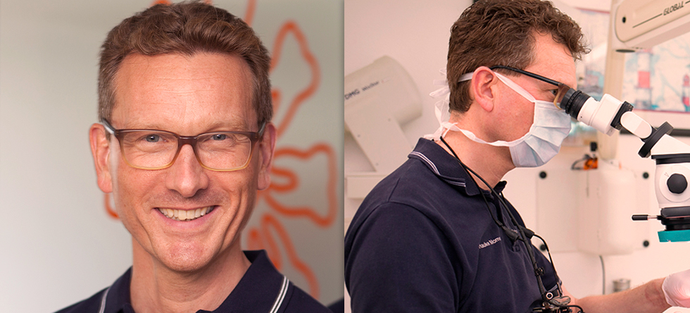 Dr. Hauke Momsen - Zahnarztpraxis am Plack in Flensburg Mürwik